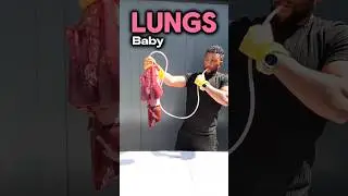Inflating Lungs 