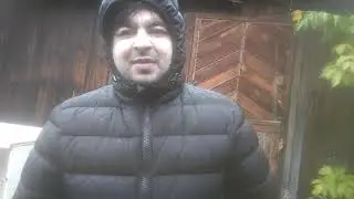 Лига Чемпионов. Боруссия Дортмунд / Спортинг Лиссабон. Прогноз на матч