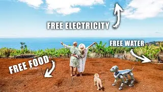 Our Jungle Home is soon 100% Self-Sufficient! (Goodbye, Supermarkets)
