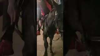 Встреча на Кузнецком мосту с кавалеристками