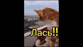 Диалог....