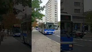 Jelcz M121MB z MPK Kraków #autobusy #buses #jelcz #krakow