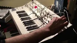 Wavetable meets @earthquakerdevices' other worldly reverberation