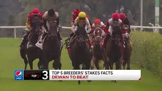 Pepsi Top 5: Breeders' Stakes Facts