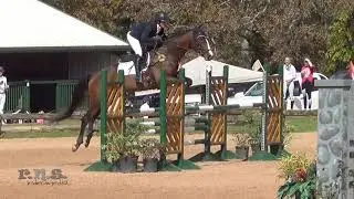 Ellen Doughty-Hume & On The Rocks Texas Rose Horse Trials November 2020