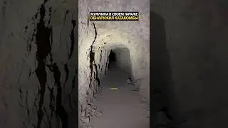 Мужчина поразил исследователей своей находкой