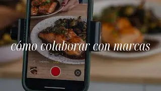 Cómo colaborar con marcas como creador de contenido