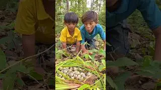 Bushcraft Skills: SIMPLE and USEFUL #bushcraft #survival #camping #outdoors #useful #shorts #food