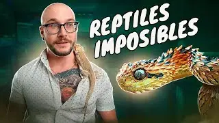 ¡Los 5 Reptiles Mascota MÁS Difíciles de Manejar QUE TE VAN A MORDER!