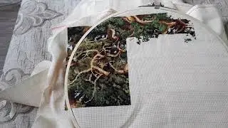 Продвижения по процессам и новые начатыши.