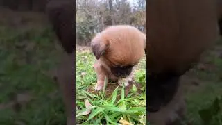 So cute !! 