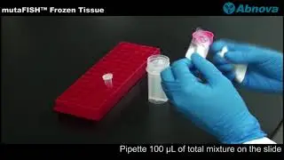 mutaFISH™ Frozen Tissue