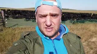 искусственное осеменение крс (Ангусов) в Казахстане