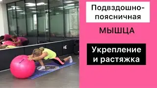 Подвздошно-поясничная мышца.Укрепление и растяжка