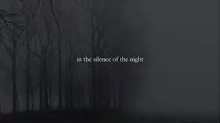 Pedro Abreu - In the Silence of the Night (2020)