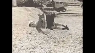 las imagenes mas graciosas del internet