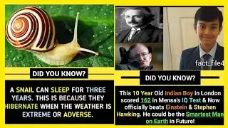 Did You Know| Vairl Fact| Meme fact|Interesting facts|did you know|fact| 2021 Meme