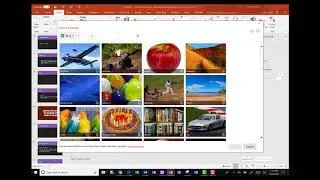 Finding and Organizing Free Images Online