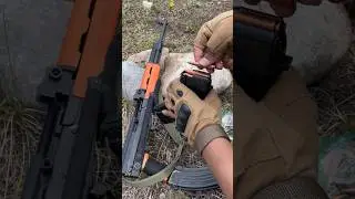 Type 81 Rifle #shorts #trending #type81 #firearms #shooting #guncollection #guns