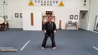 Kempo Genbu Ryu - Kata Dai Itchi (1st Kata)