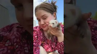 Ну вот и всё.. 