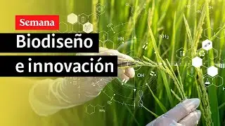 V Cumbre de Sostenibilidad | ¿Cómo avanza la regeneración en Colombia?