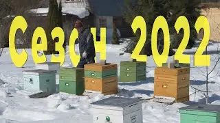 Короткое видео о том как мы выносили пчёл на улицу