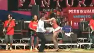 PANTURA_Gulu Pedot
