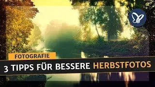 Fotografie Tutorial: DREI TIPPS für stimmungsvolle Herbstfotos