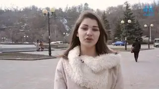 День безпритульних тварин