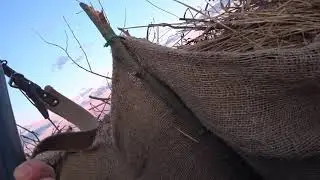 Охота на гуся,не получается.Без трофея.