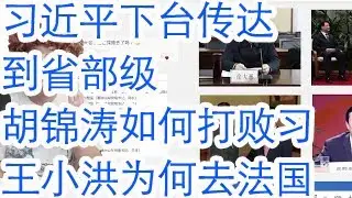 习近平下台秘密传达到省部级了。胡锦涛如何打败习近平之公安部篇。王小洪徐大彤为习近平流亡古巴探路？