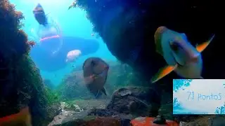 Snorkel na Ilha do Boi com teste do 