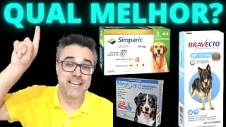 Qual o melhor: SIMPARIC vs BRAVECTO vs NEXGARD? | Como acabar com pulgas e carrapatos em cachorro!