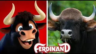 Ferdinand Characters In Real Life 📷 Video | JD Cars Toys