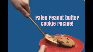 Healthy, Gluten-free, Paleo, Peanut Butter Cookie Recipe