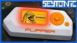 Why This Country Banned the Flipper Zero
