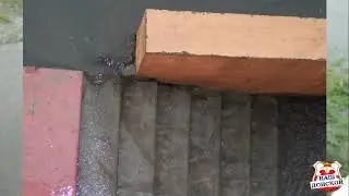 В Донском более 6 лет затапливает многоквартирный дом