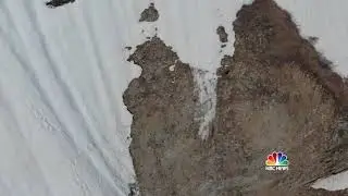 Little bear overcomes struggle to climb mountain in cute video