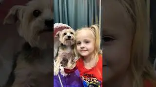 Суп картошка огурец рыба холодец 😁😁😂😂#shorts #minimia#trend #funny #юмор#trend #tiktok #юмор
