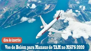 Voo de Belém  para  Manaus de TAM no MSFS 2020