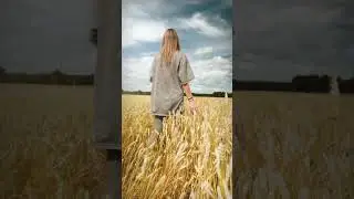 13 августа 2024 г.