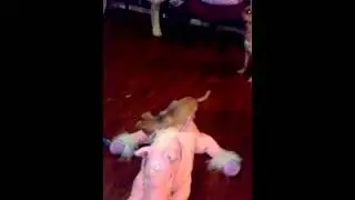 Puppy runs away