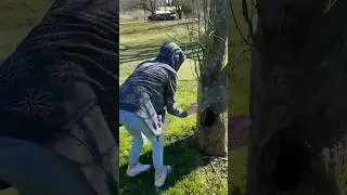Easter Egg Hunt pt. 2 Find The Eggs #surpriseeggs #easter #egghunt #fun