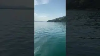 The wonderful Lake Thun! 🛳️🇨🇭