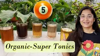 🔴TOP 5 ORGANIC LIQUID FERTILIZERS FOR PLANT GROWTH सबसे अच्छी खाद पौधों के लिए 