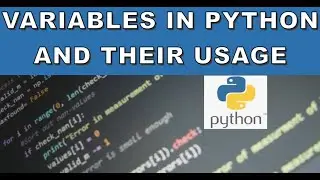 Python variables with Practical Examples 
