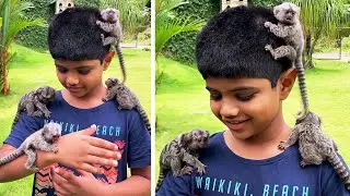 #54 Die besten Videos aller Zeiten || The Best Videos of All Timee