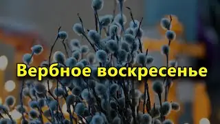 Вербное воскресенье 2021. Что нужно и нельзя делать, традиции.