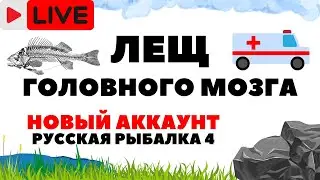 Новые точки на леща РР4 / Русская рыбалка 4